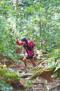 BIB: 
                            <button type="button" onclick="openModal(19333375)" class="btn btn-primary btn-sm float-right btn-popup" data-toggle="modal" data-target=".modal-high-quality">
                        <i class="fas fa-shopping-cart"></i> Add to Cart
                    </button>
                                            <button type="button" onclick="isThisMe(19333375, true)" class="btn btn-success btn-sm float-right btn-popup btn-isme hidden" data-toggle="tooltip" data-placement="bottom" title="นี่คือรูปของคุณใช่ไหม คลิกที่นี่เพื่อเอาเข้าอัลบั้ม">
                        <i class="fas fa-plus"></i> Add to album
                    </button>
                    <button type="button" onclick="isThisMe(19333375, false)" class="btn btn-warning btn-sm float-right btn-popup btn-isnotme hidden">
                        <i class="fas fa-ban"></i> Remove from album
                    </button>